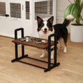 Elevate Your Dog's Dining Experience with Adjustable Raised Bowls - Stylish Brown Design with 4 Heights & 3 Angles
