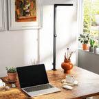 Versatile LED Desk Lamp with Dual Colour Modes - Dimmable Clamp Table Lamp for Study & Work - Sleek Black Design