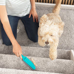 Transform Your Cleaning Routine with the Beldray Antibac Pet Plus Cleaning Blade & Washable Lint Roller Set