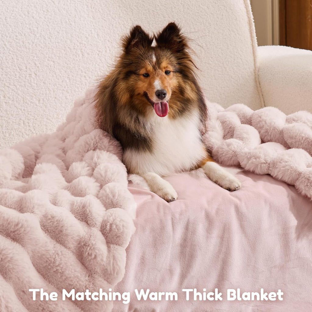 Indulge in Comfort: Luxury Striped Faux Fur Human Dog Bed with Orthopedic Foam and Cozy Blanket - Perfect for You and Your Pet!