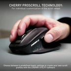 Elevate Your Productivity with the Stream Mouse Ultimate - Precision, Comfort, and Multi-Device Connectivity