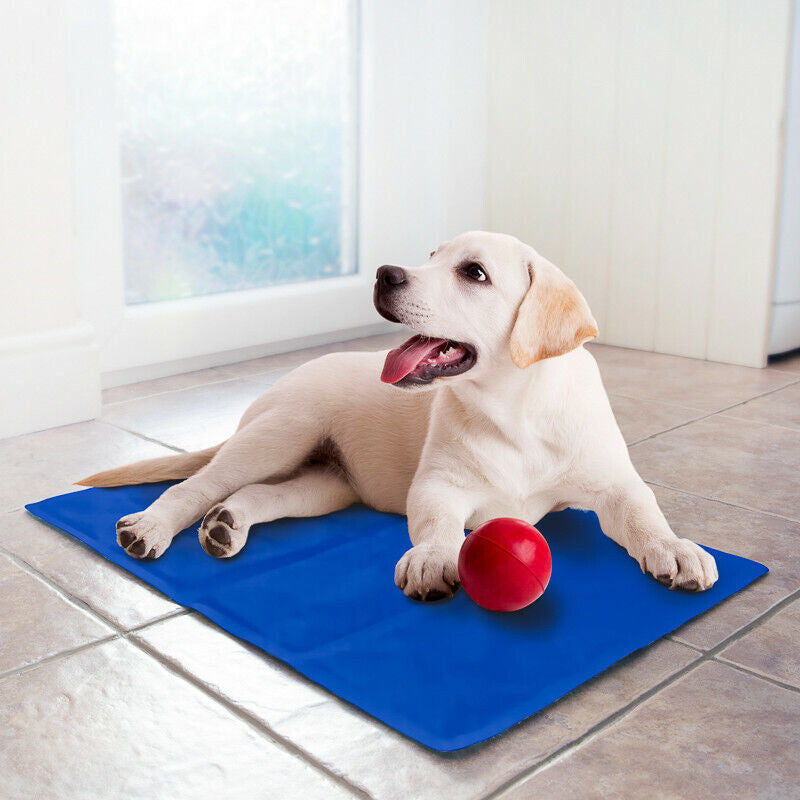 CRUFTS Summer Pet Cooling Gel Mat - Keep Your Dogs & Cats Comfortable with Stylish Vests & Collars