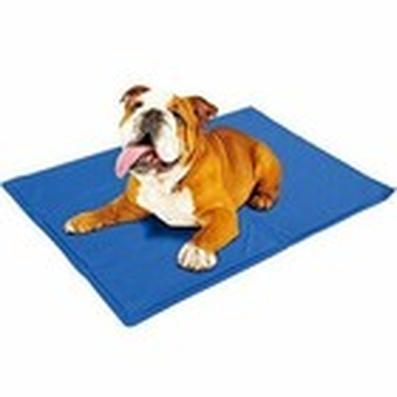 CRUFTS Summer Pet Cooling Gel Mat - Keep Your Dogs & Cats Comfortable with Stylish Vests & Collars
