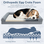 Luxurious Orthopedic Foam Dog Bed - Large Size for Ultimate Comfort and Support