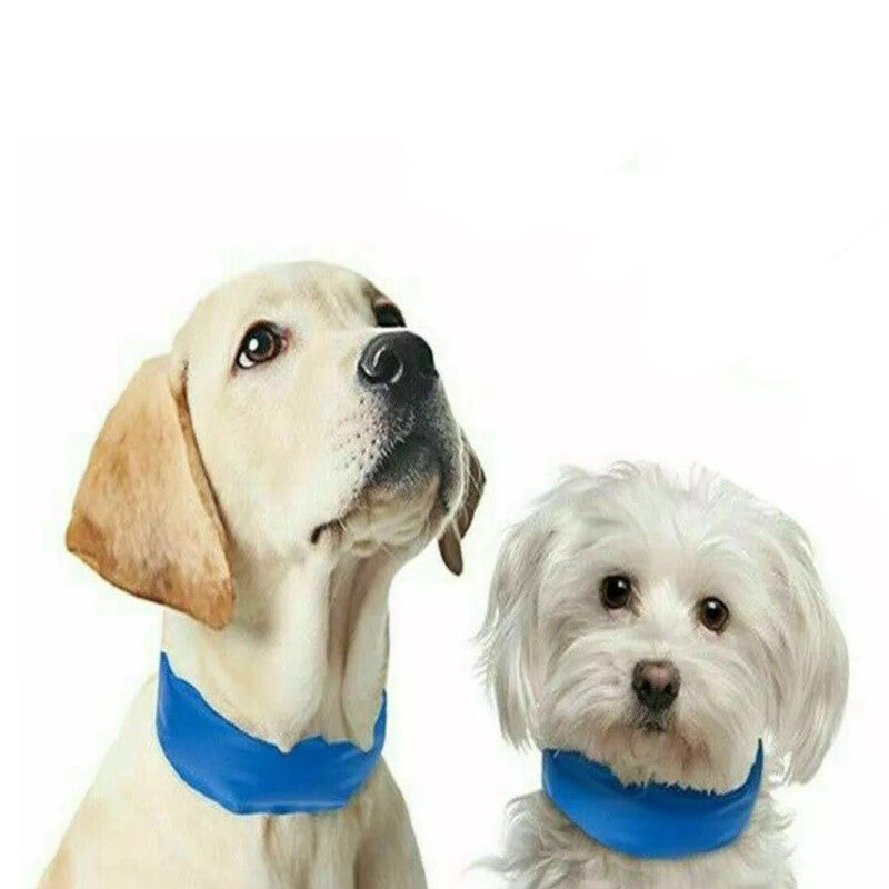 CRUFTS Summer Pet Cooling Gel Mat - Keep Your Dogs & Cats Comfortable with Stylish Vests & Collars