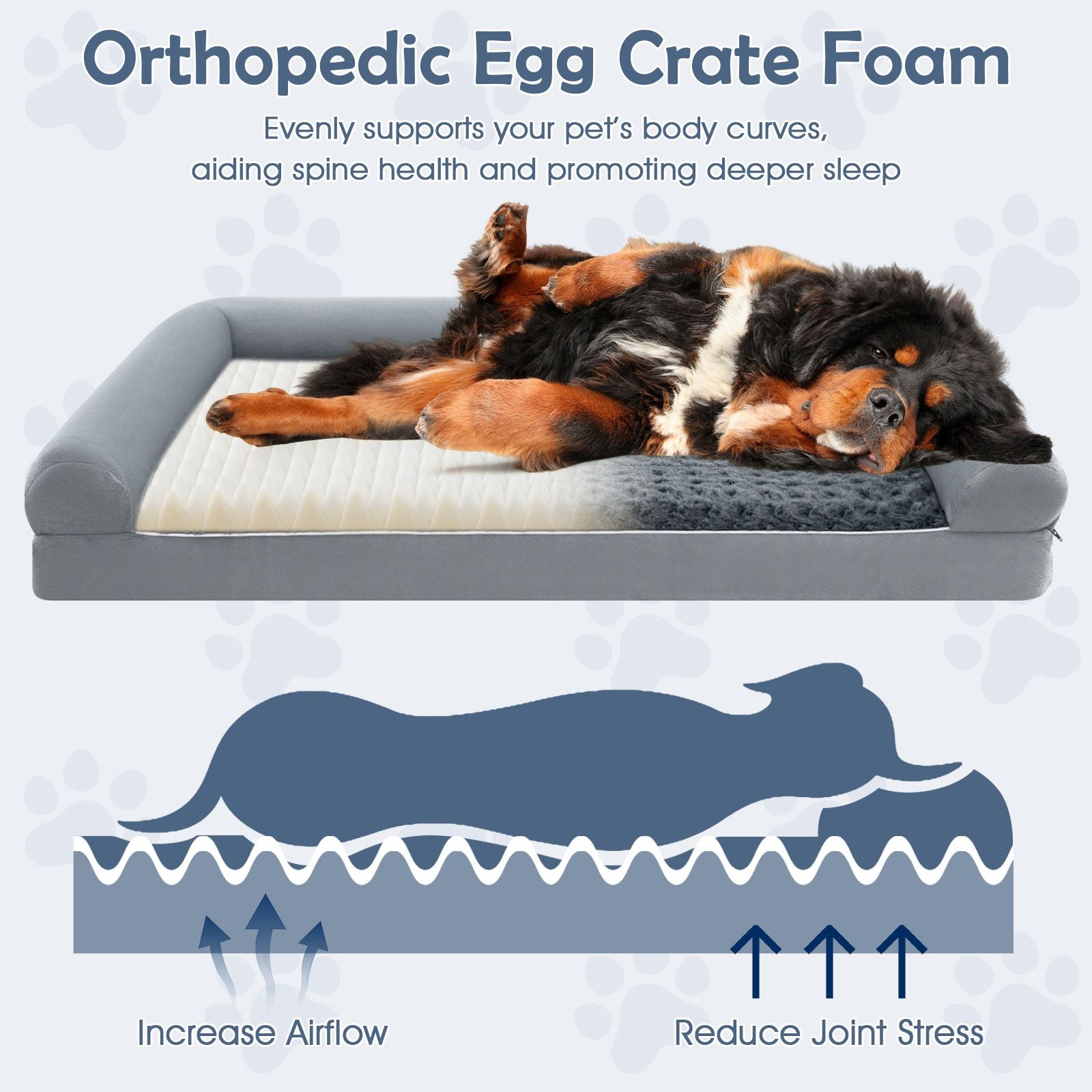 Luxurious Orthopedic Foam Dog Bed - Large Size for Ultimate Comfort and Support