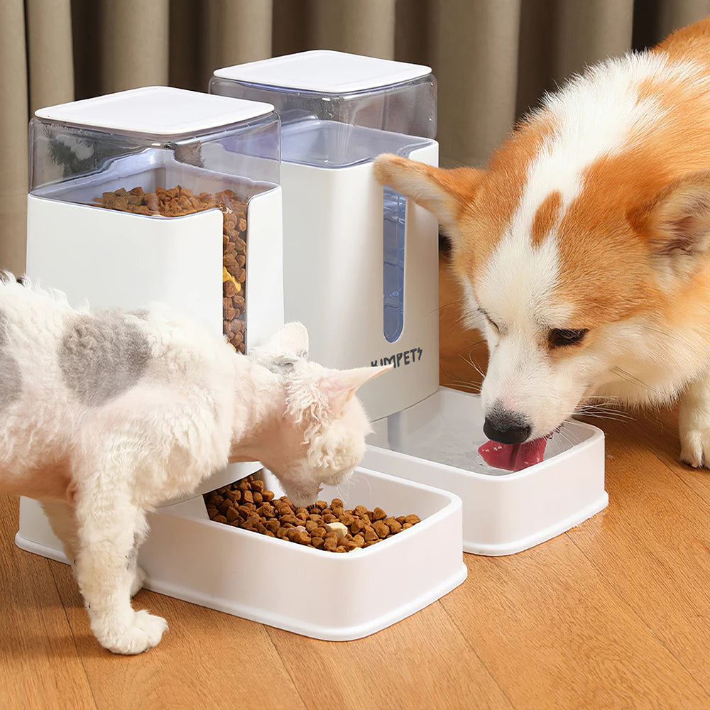Revolutionary 2-Pack Automatic Pet Feeder and Drinking Fountain - Essential Travel Supplies for Happy Dogs and Cats